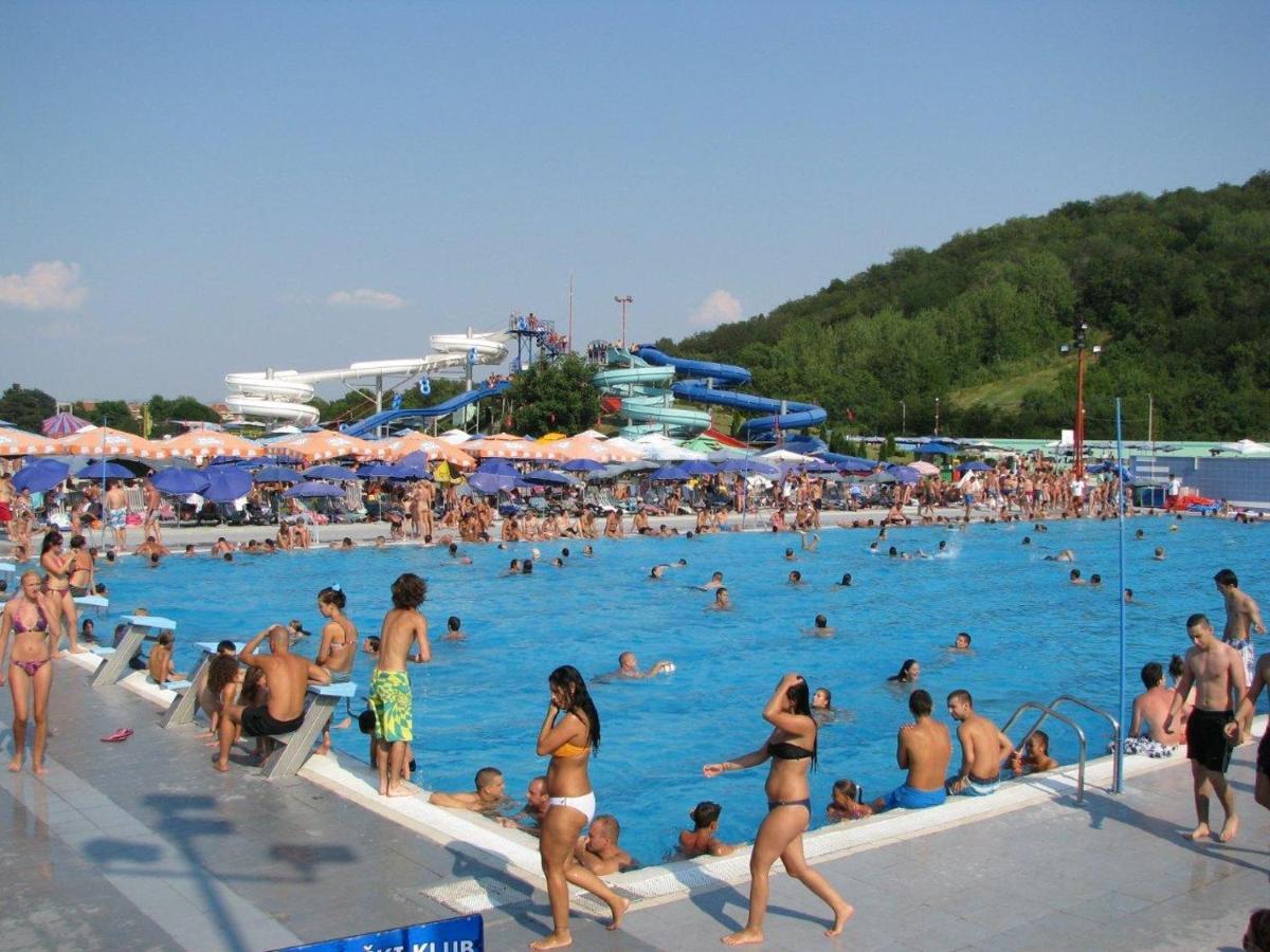 Dobi Apartmani Wing Ягодина Екстериор снимка